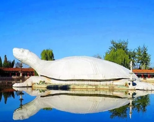 山巨龜苑拓展基地