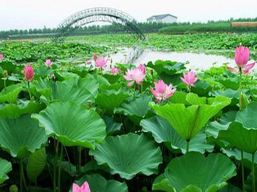 保定白洋淀拓展基地